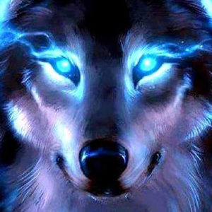 Meet your Posher, Anthony lara